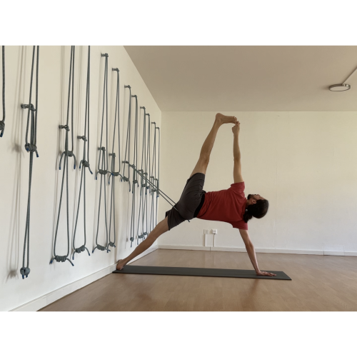 Iyengar Yoga Basel. Ayalgayoga