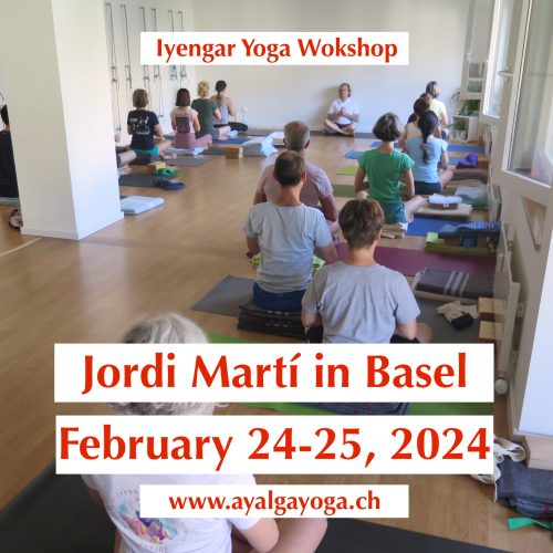 Iyengar Yoga Workshop, Aylaga Yoga Basel